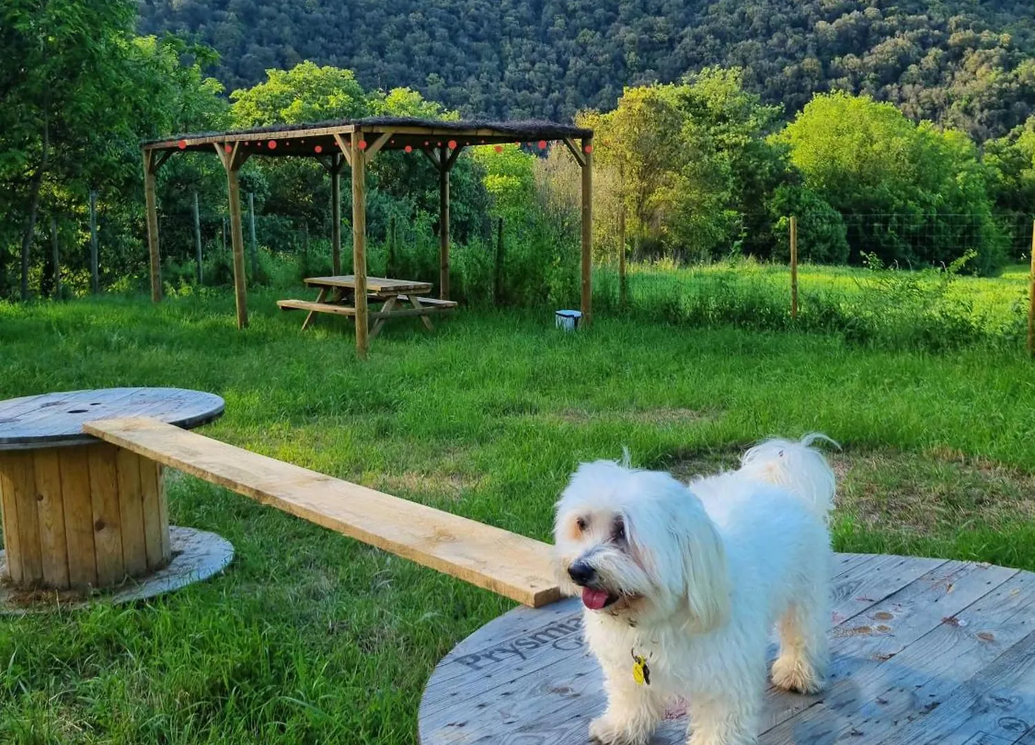 Mas Violella Allotjament Rural Sant Joan les Fonts 0*,