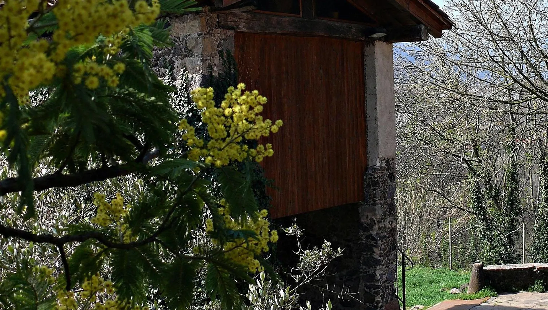 Mas Violella Allotjament Rural 산트 호안 레스 폰츠 스페인