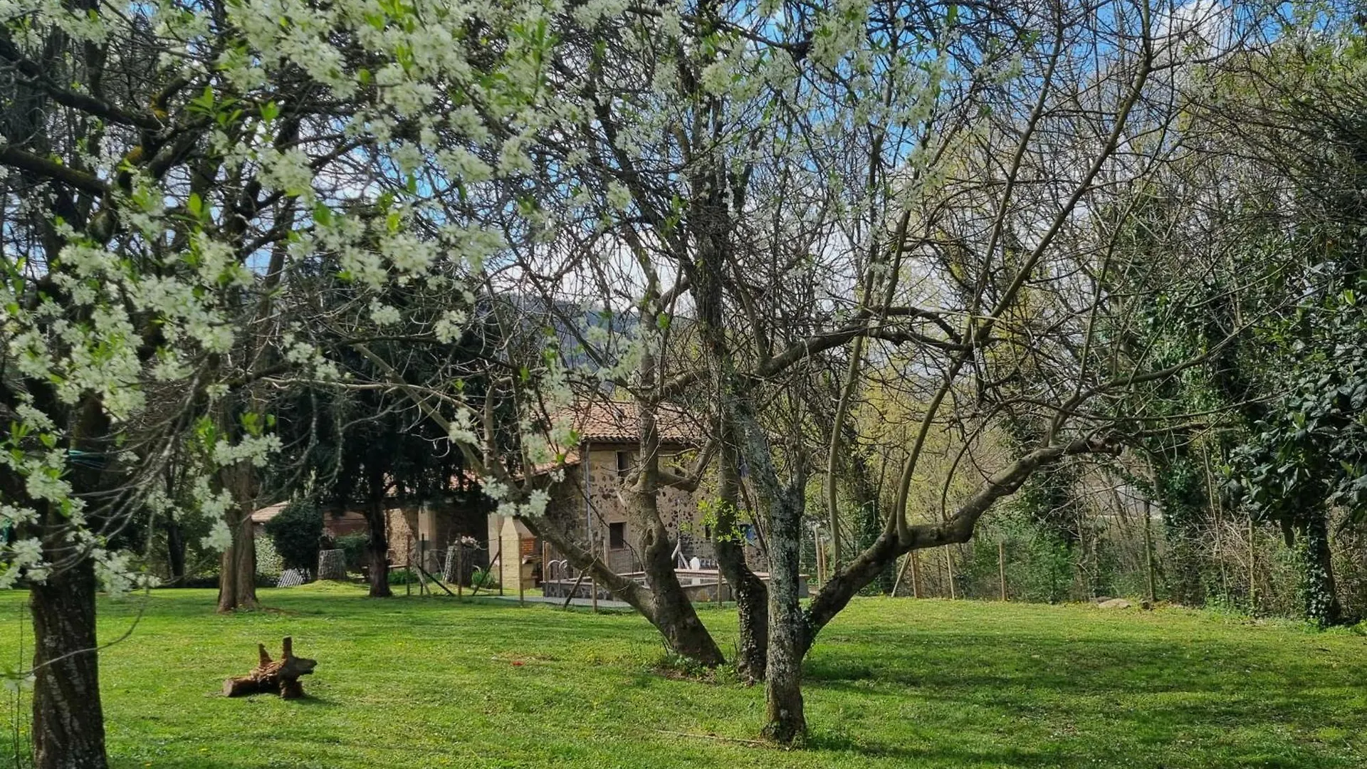 Mas Violella Allotjament Rural 산트 호안 레스 폰츠 스페인