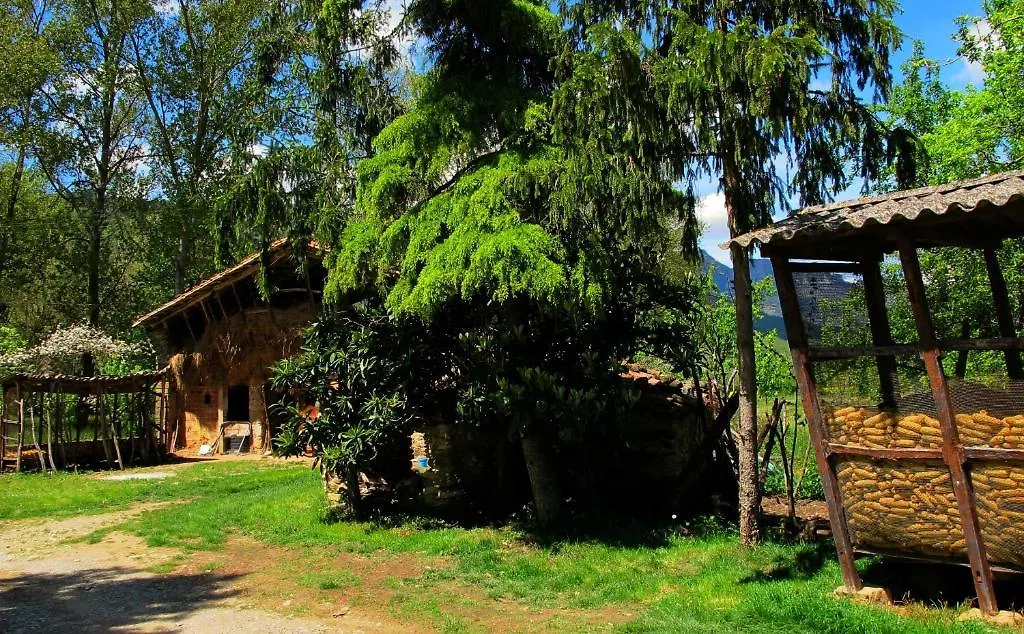 Mas Violella Allotjament Rural 산트 호안 레스 폰츠 컨트리하우스